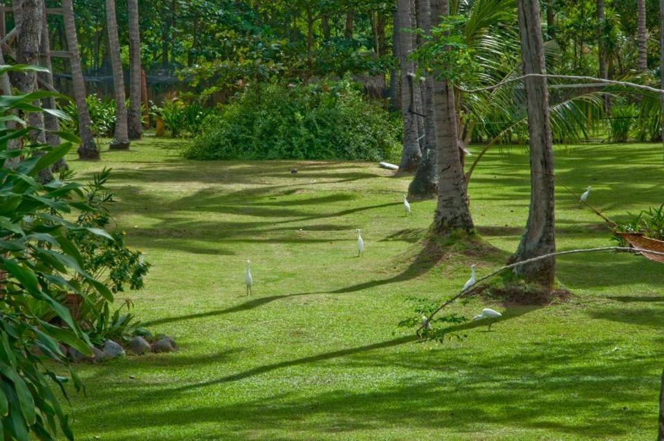 Crystal Paradise Resort Spa & Winery Narra Buitenkant foto