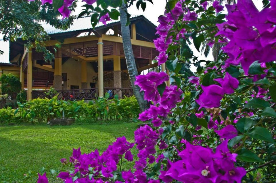 Crystal Paradise Resort Spa & Winery Narra Buitenkant foto
